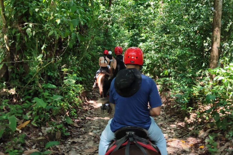 Horse Back Riding